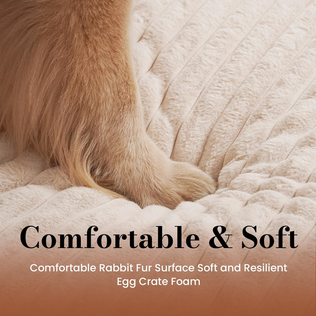 Cozila Dog Beds for Large Sized Dog, Orthopedic Foam with Waterproof Lining