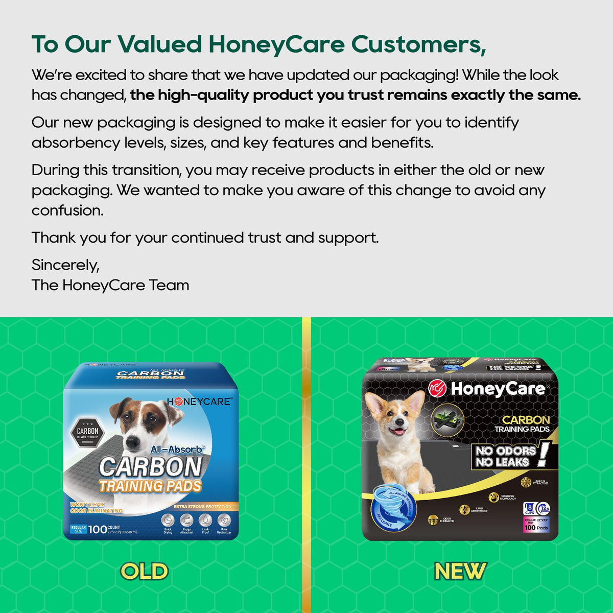 HONEY CARE All-Absorb Puppy Training Pads | Doggie Potty Pads Absorb Eliminating Urine Odor, Ultra Charcoal Dog Pee Pad (Carbon, L 22x23 inch, 100ct)