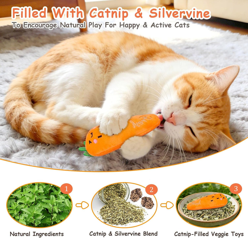 5Pcs Catnip Cat Toys for Indoor Cats Kitten, Cute Vegetable Shape