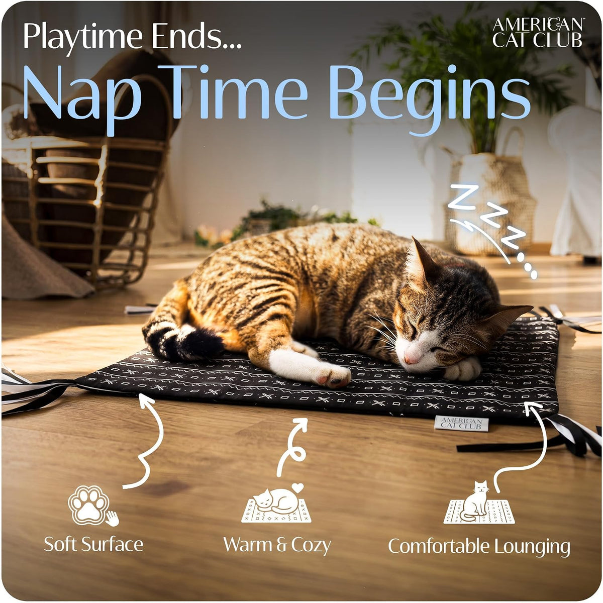 Reversible Crinkle Cat Mat with Mouse Toy, 18" x 13"