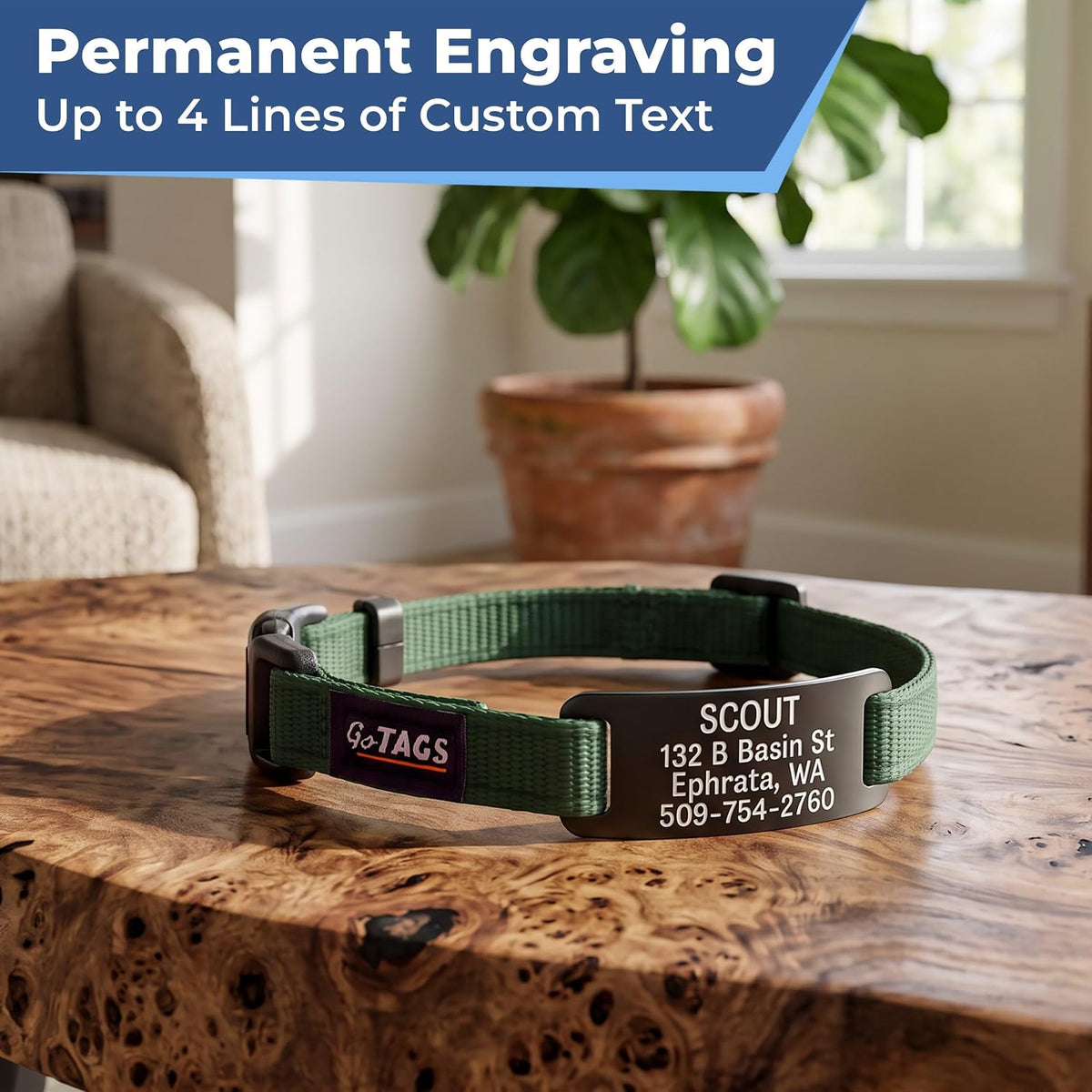 GoTags Cat Collar Personalized, Reflective Collar with Bell & Nameplate