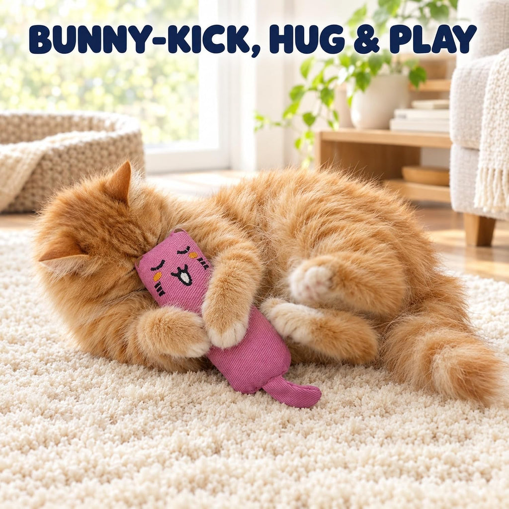 5 Pack Cat Kicker Toys, Soft Plush Cat Toys, Assorted Colors, Plush Toys