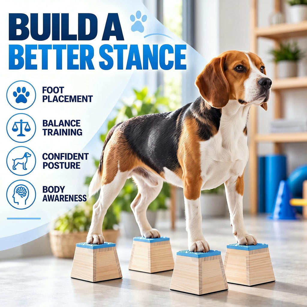 Hiboom 4 Pcs Dog Stacking Blocks for Dog Training, Trapezoid Blocks