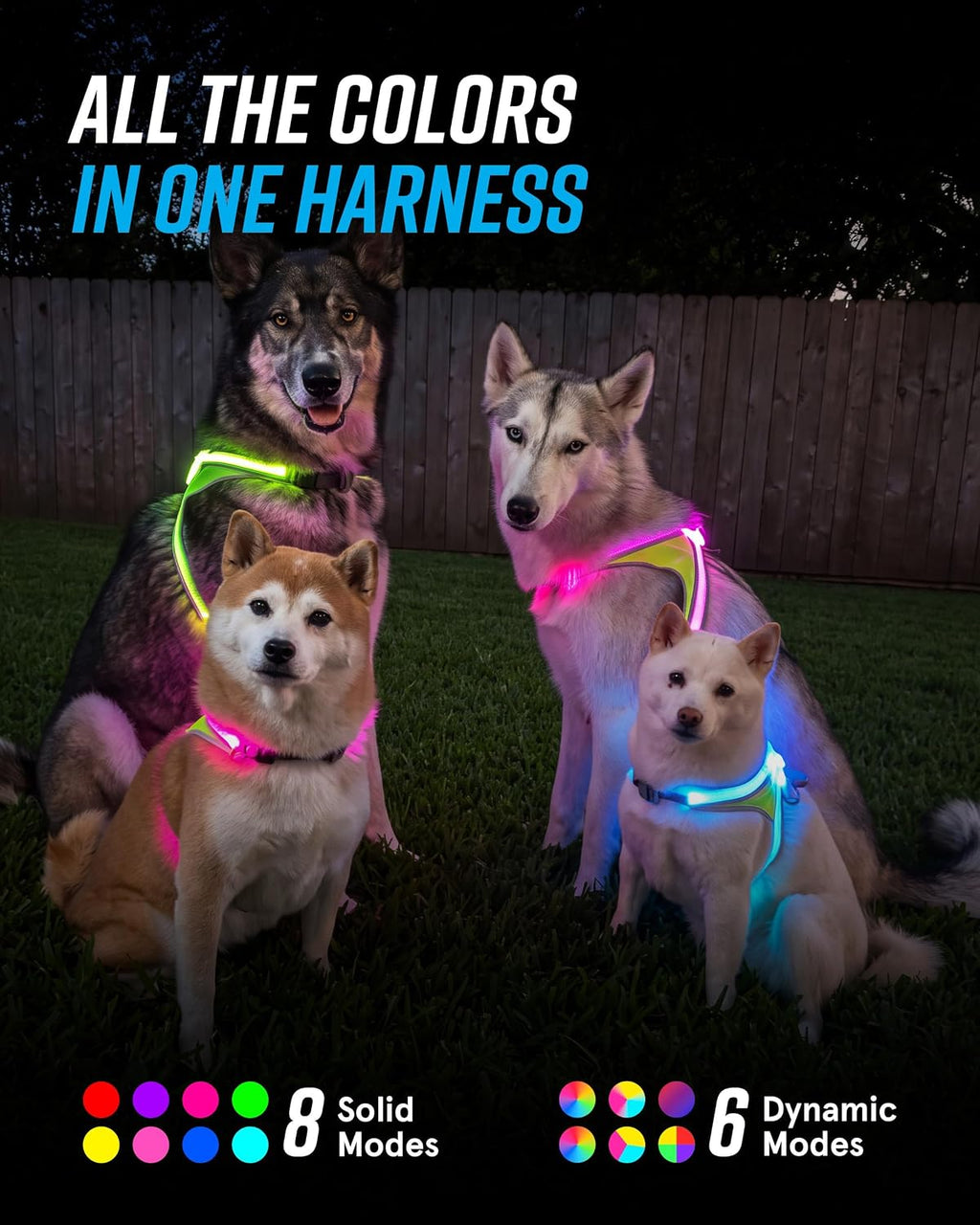 noxgear LightHound Light Up Reflective Dog Harness, Large
