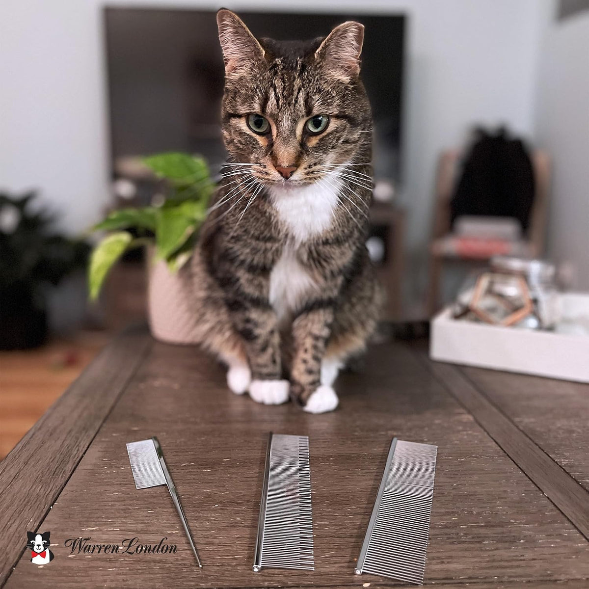 Warren London Carding Cat Comb | 7.5 inches made with Copper | Rounded Tips Prevent Irritation | Dual Tooth Design for S