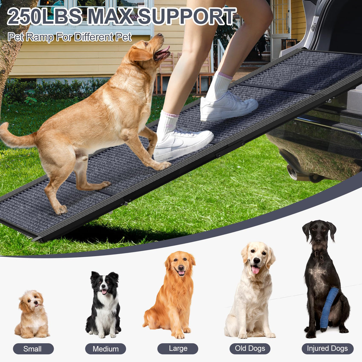 HerCcreta wigge Dog Ramp for Car 63" L × 17" W, Pet Ramp for Truck Foldable