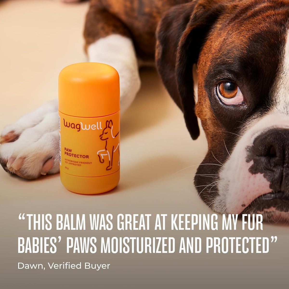 Paw Protector, Lick-Safe Dog Paw & Nose Balm for Hot Pavement
