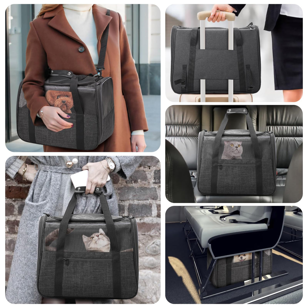 JUNGYOUN Premium Cat Carrier - Pet Carrier for Cat & Small Dogs up to 15lbs - Airline Approved Travel Dog Carrier with Anti-Escape Zippers, Collapsible Travel Bowl & Padded Strap