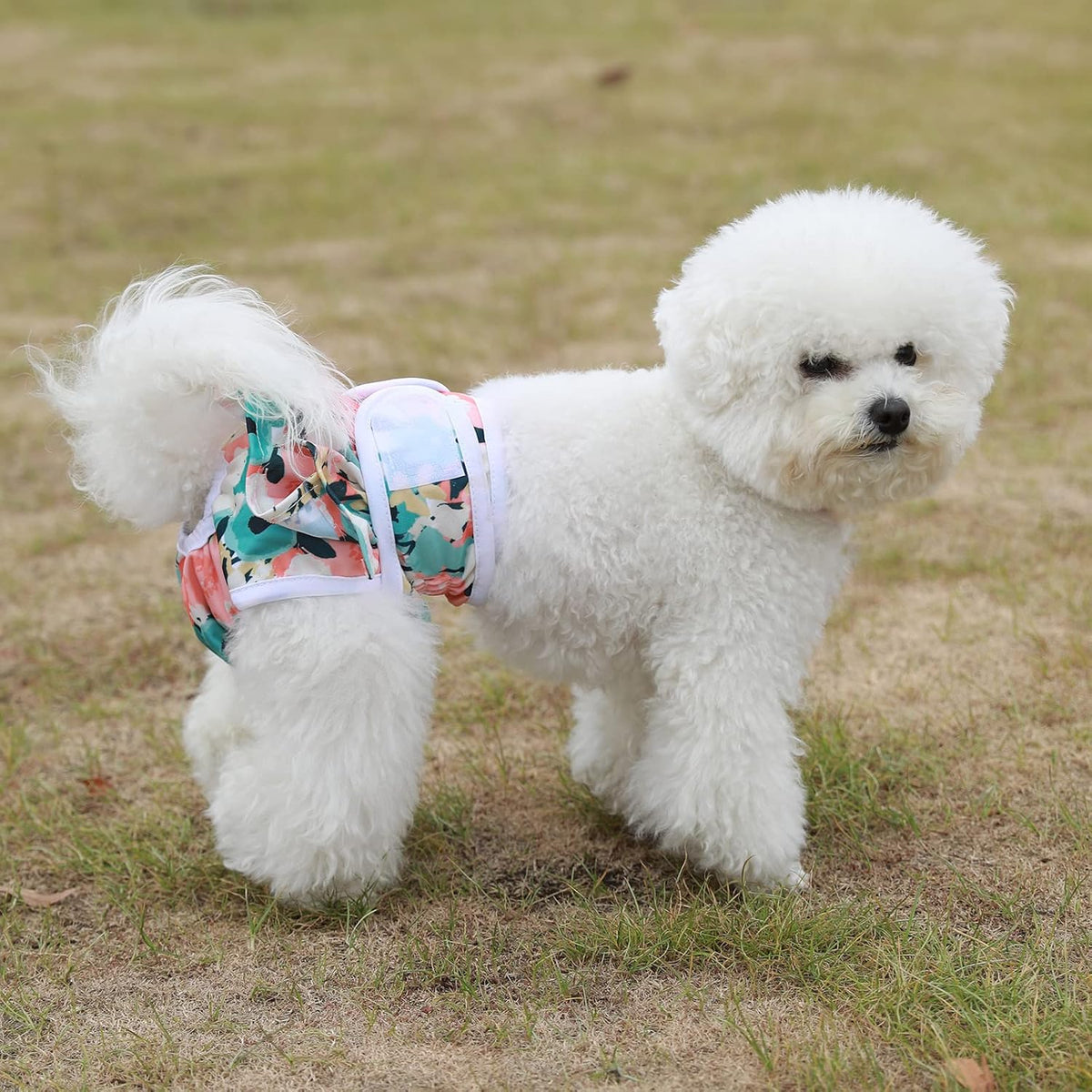 Washable Dog Diapers Female 3 Pack Reusable Highly Absorbent Doggie Diaper, Flexible Doggy Diaper Female Durable Leak-Pr
