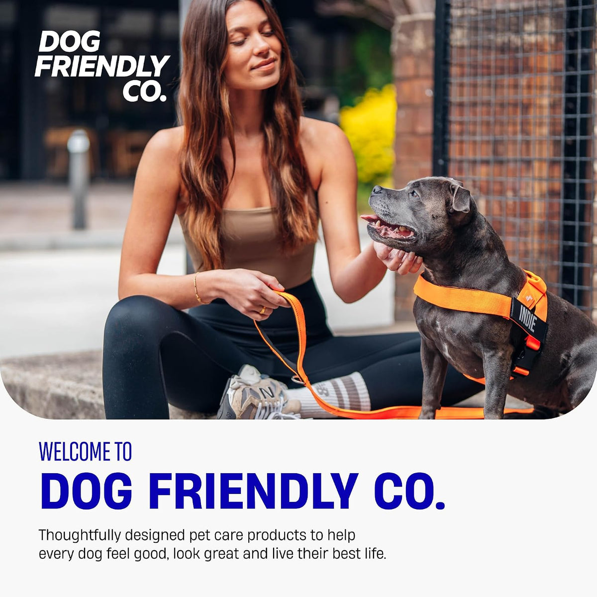 Dog Friendly Co. Dog Harness for Medium Sized Dogs (Pink, Medium)