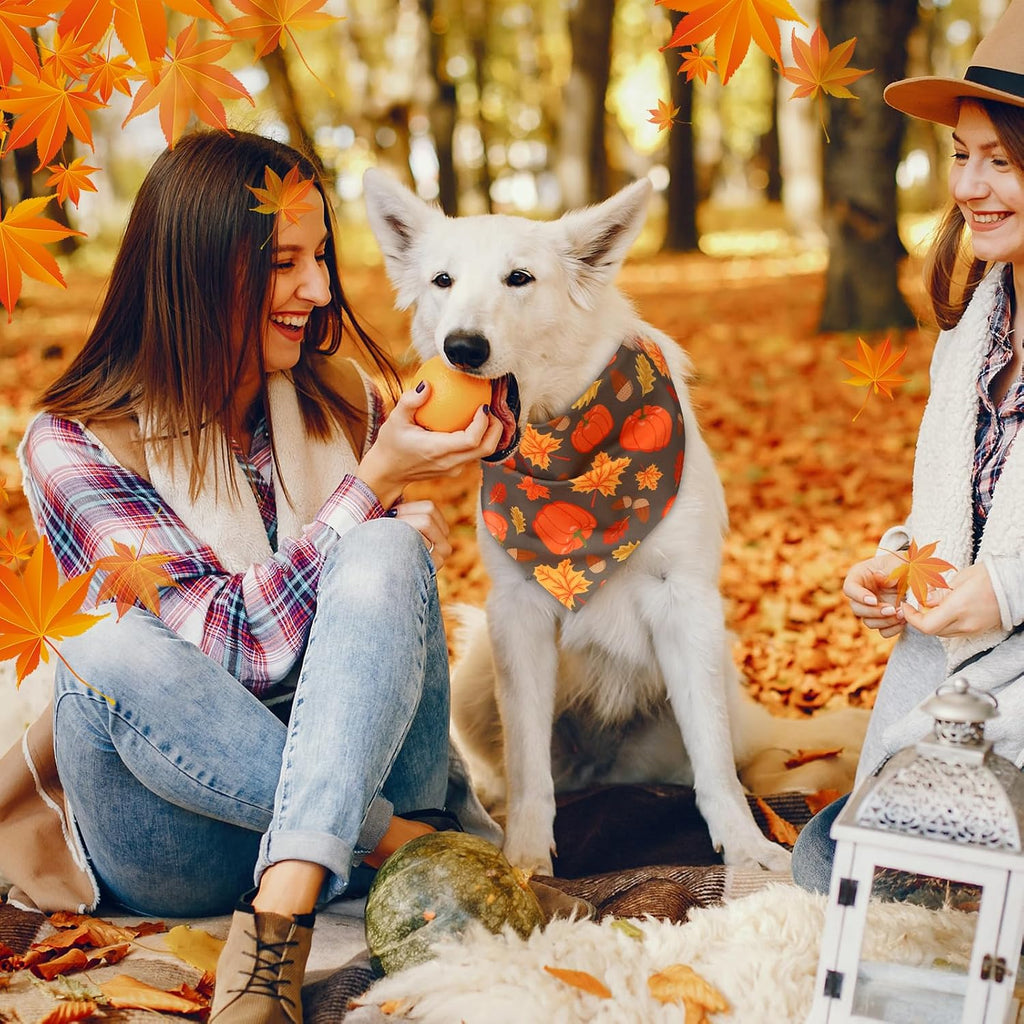 Abbylike 50 Pcs Fall Thanksgiving Dog Bandanas Bulk, Pumpkin, Large Dogs