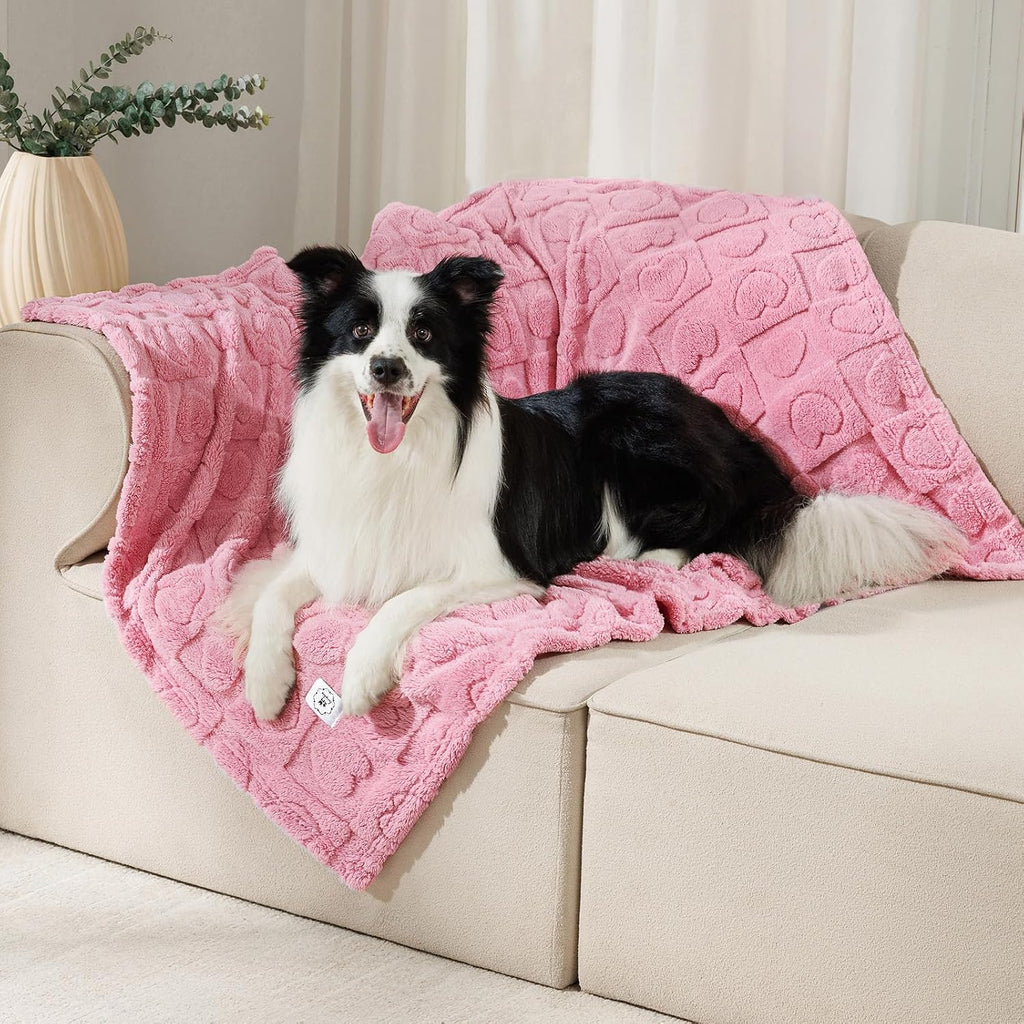 Luciphia Small Dog Blanket Washable Pet Bed Cover Soft Fluffy Puppy Blanket with Premium Fleece 300GSM Cozy Calming Cat 