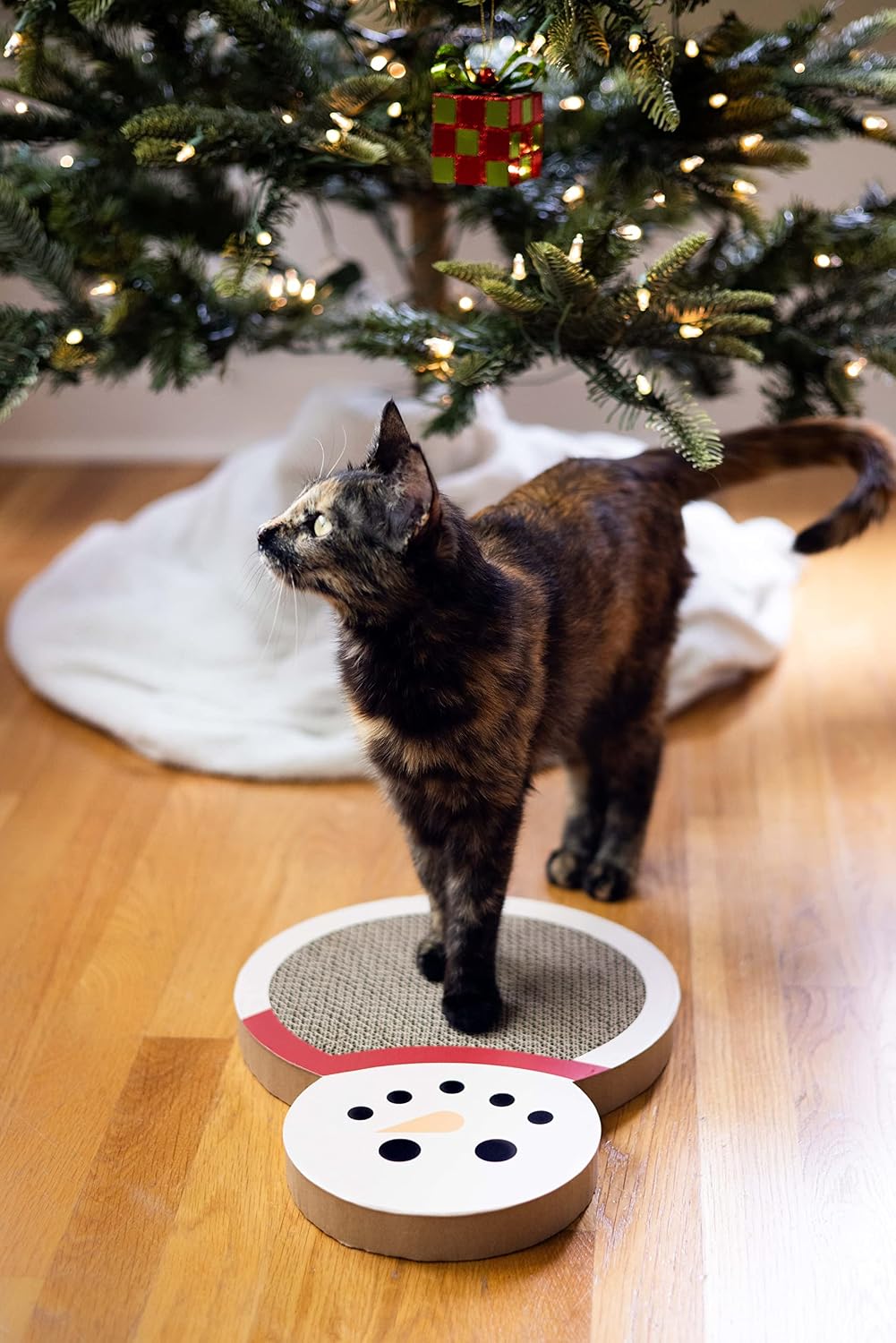 Pearhead Snowman Cat Scratching Pad, Reversible Christmas Cat Scratcher