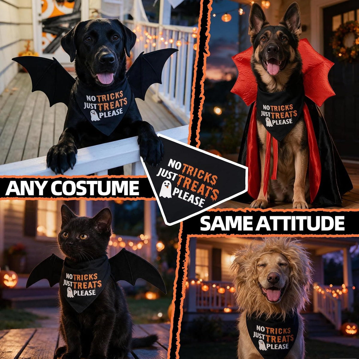 Halloween Dog Bandanas with No Tricks Sign, 7-30lbs Pet