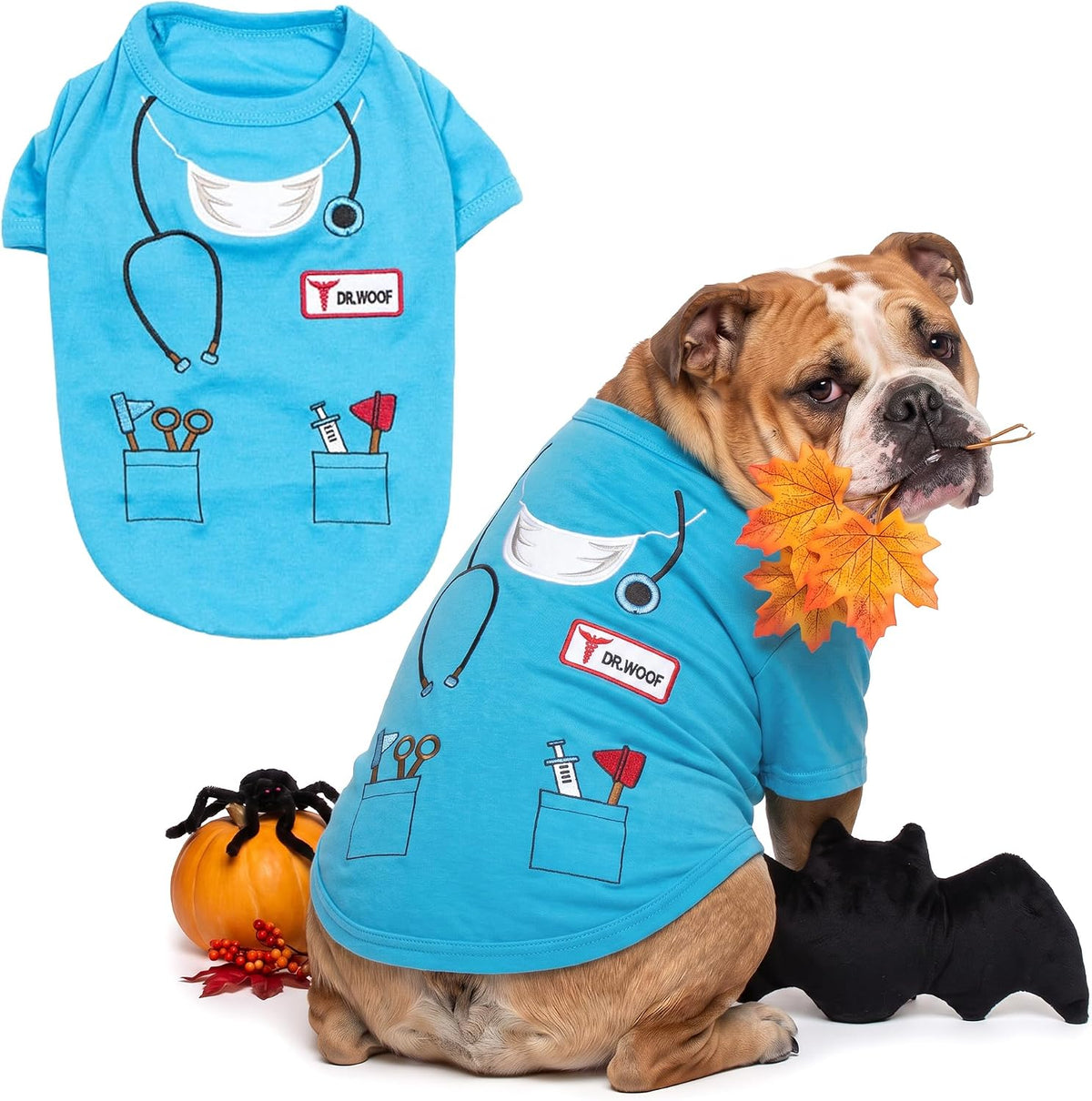 Parisian Pet Dog Halloween Costume - Prisoner Halloween Costumes for Dogs