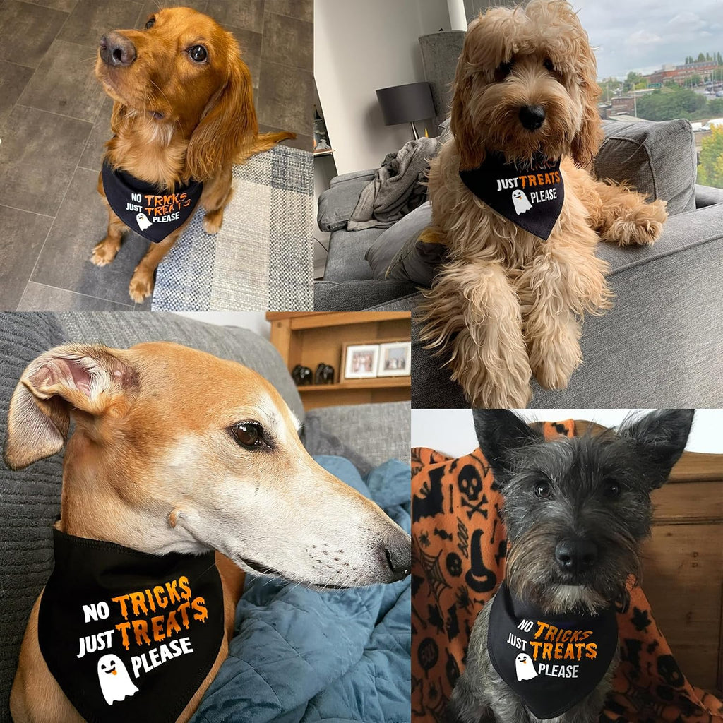 Halloween Dog Bandanas with No Tricks Sign, 7-30lbs Pet