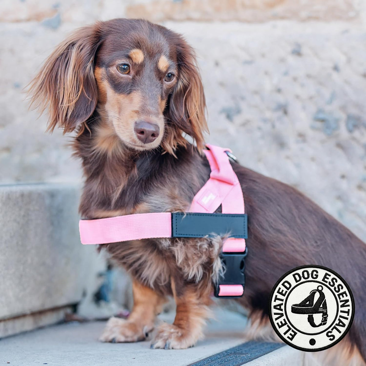 Dog Friendly Co. Dog Harness for Medium Sized Dogs (Pink, Medium)