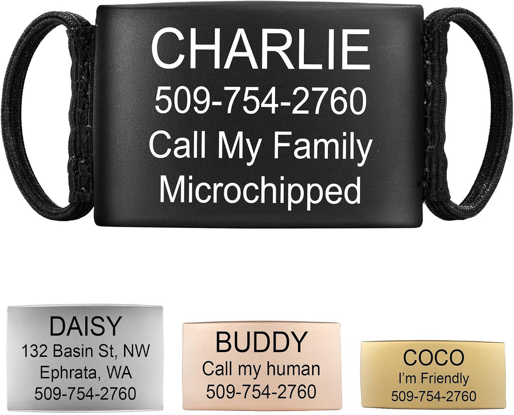 GoTags Slide On Silent Pet ID Tags, Personalized Steel Dog and Cat Tag