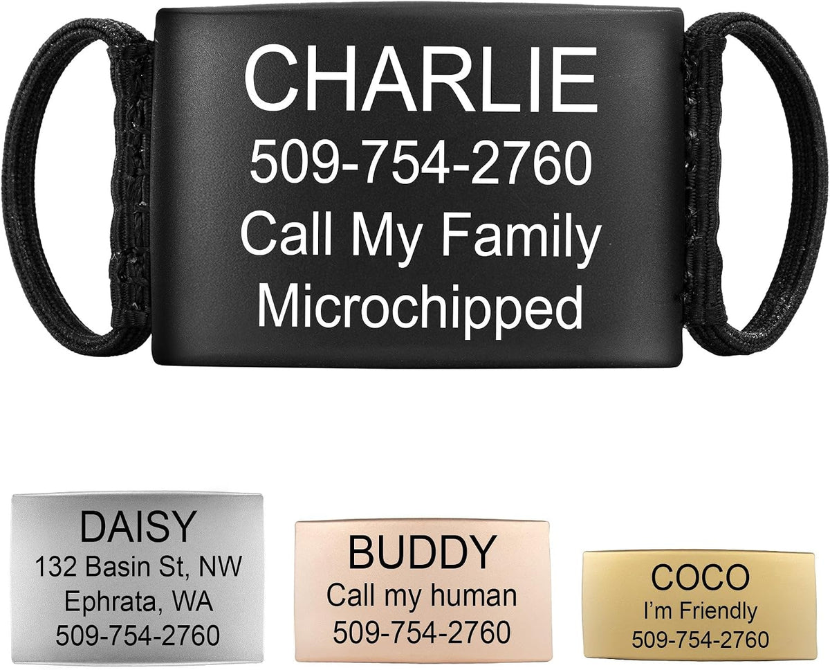 GoTags Slide On Silent Pet ID Tags, Personalized Steel Dog and Cat Tag