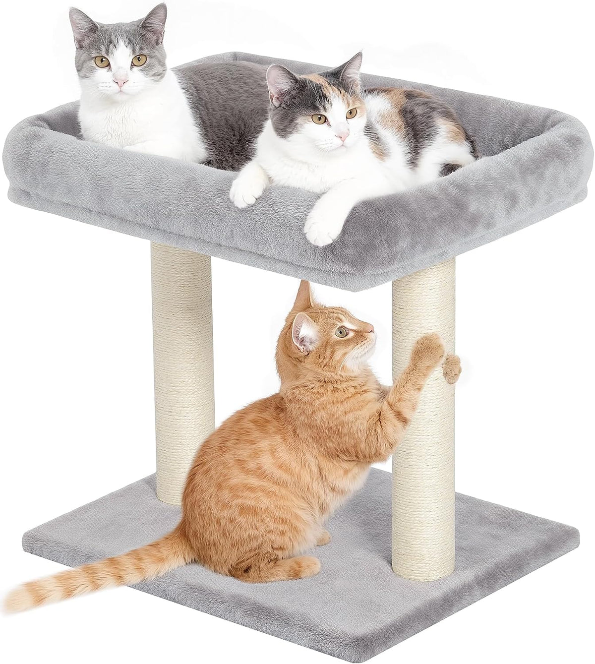 19" Small Cat Tree with Scratching Post for Indoor Cats with Perch