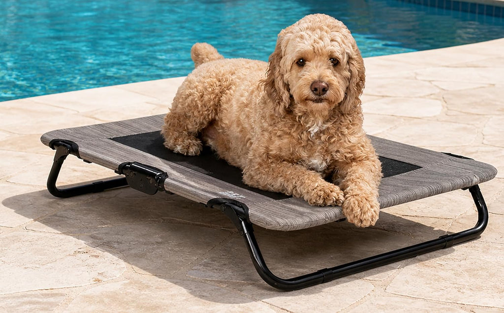Pet Gear Lifestyle Pet Cot Elevated Bed, 30 Inch, Slate Blue