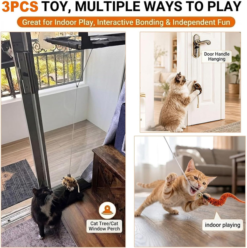Cat Toys for Indoor Cats,Interactive Door Hanging Cat Toys Attached with Catnip/Feathers/Birds/Worm Toys for Cats/Kitten