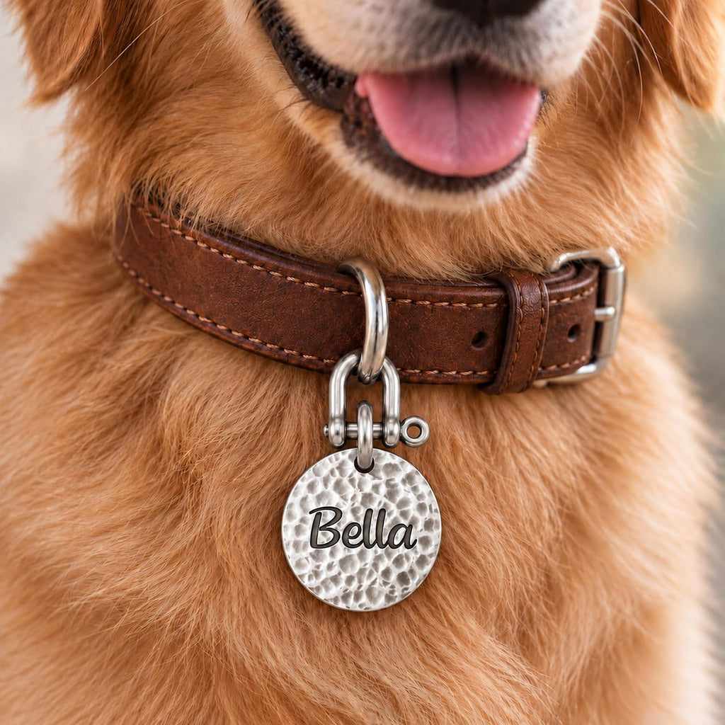 BONBOY Personalized Dog Tag, Engraved Pet ID Tag, Custom Dog Name Tag (Large, Brass)