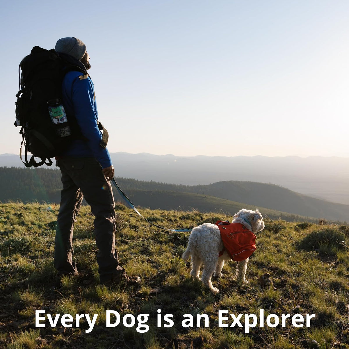 Ruffwear, Crag Dog Leash, Reflective Everyday 6 ft Lead, Alpine Dusk