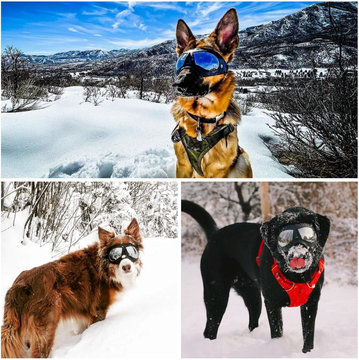 Dog Goggles for Large Dogs Eye Protection, Wide Snout & Soft Frame, UV Protection Dog Sunglasses Medium to Large Breed, 