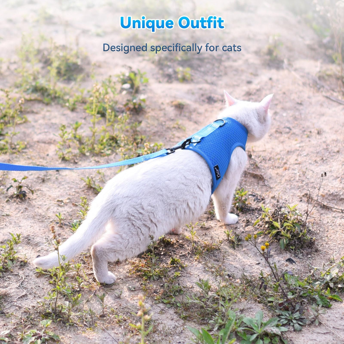 Cat Harness and Leash Set for Walking Escape Proof, Blue, Large