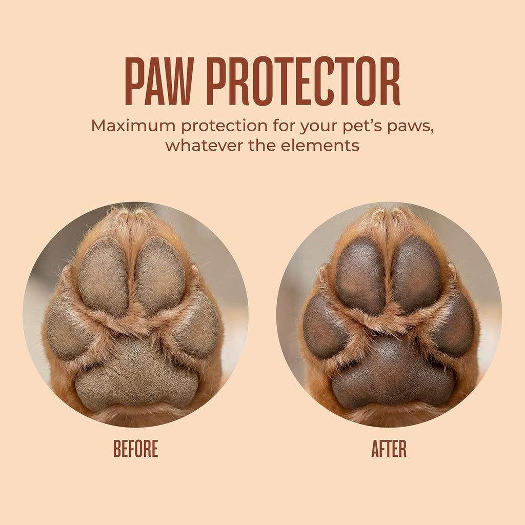 Paw Protector, Lick-Safe Dog Paw & Nose Balm for Hot Pavement