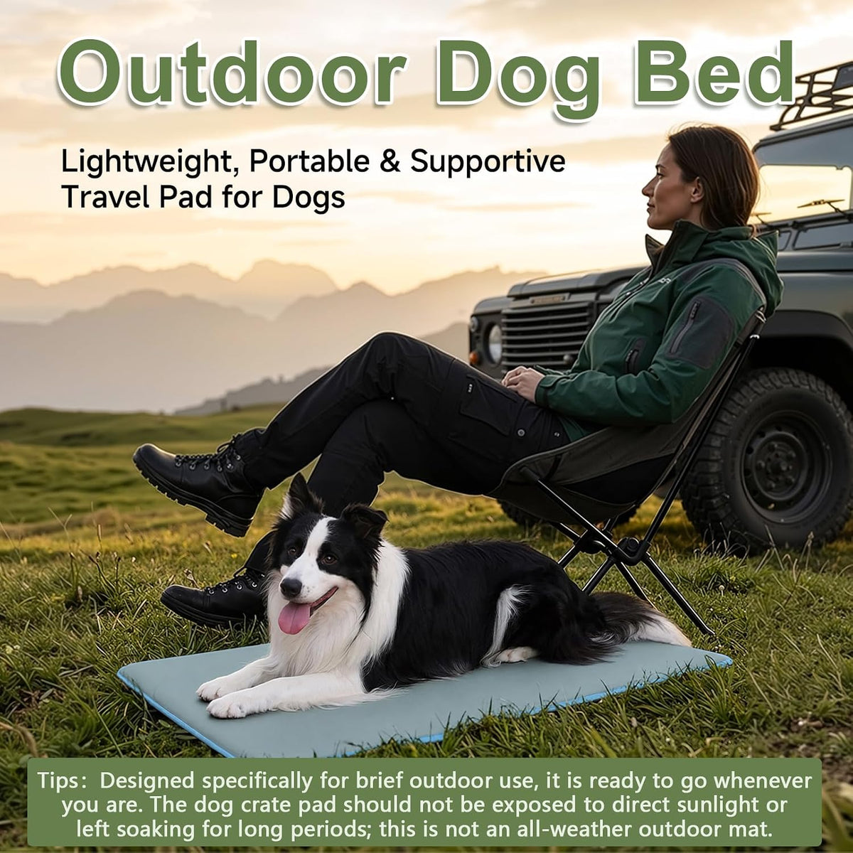 Outdoor XL Dog Crate Pad Bed, Waterproof Wipeable Mat, 41", Dusty Blue