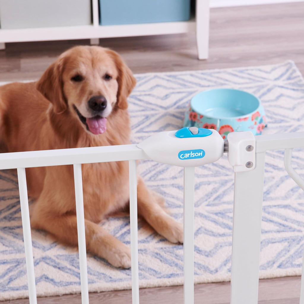 Carlson 29–36.5" Extra Wide Walk-Thru Dog Gate with Small Pet Door, White