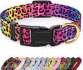 Reflective Adjustable Dog Collar for Medium Dogs, Leopard Neon, M