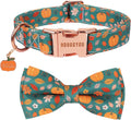 Fall Thanksgiving Dog Collar, Pumpkin Dog Bow Tie Collar, Small