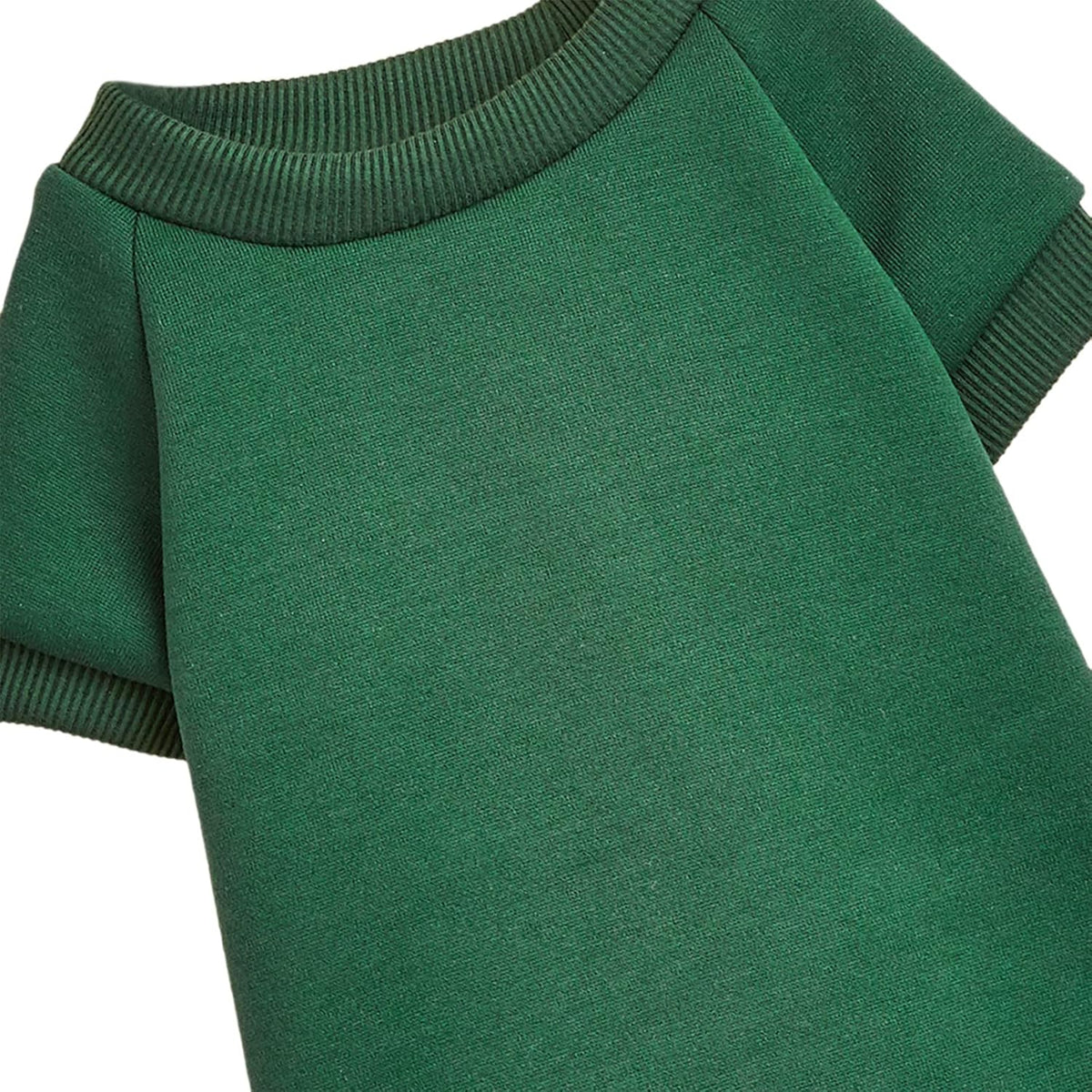 Soft Puppy Sweater for Small Dogs Winter Knit Pullover, Green M