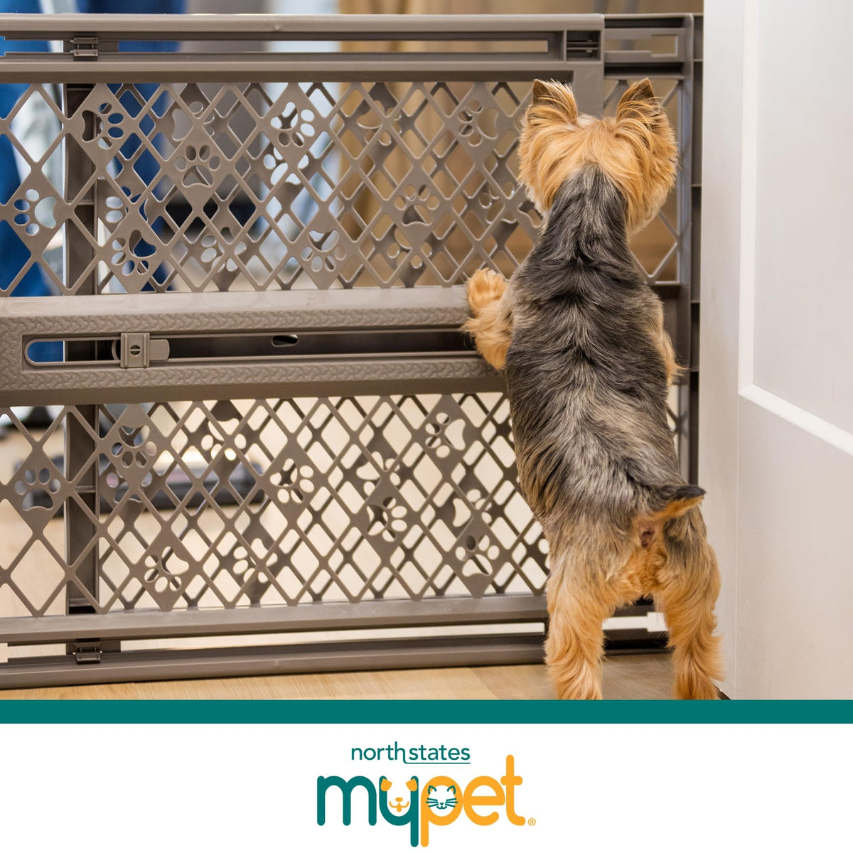 MYPET Paws Portable Pet Gate: 26-40" Wide Expandable, Pressure Mounted No Tools Needed, Durable Dog Gate for Doorways, Made in USA, 23" Tall, Fieldstone Gray