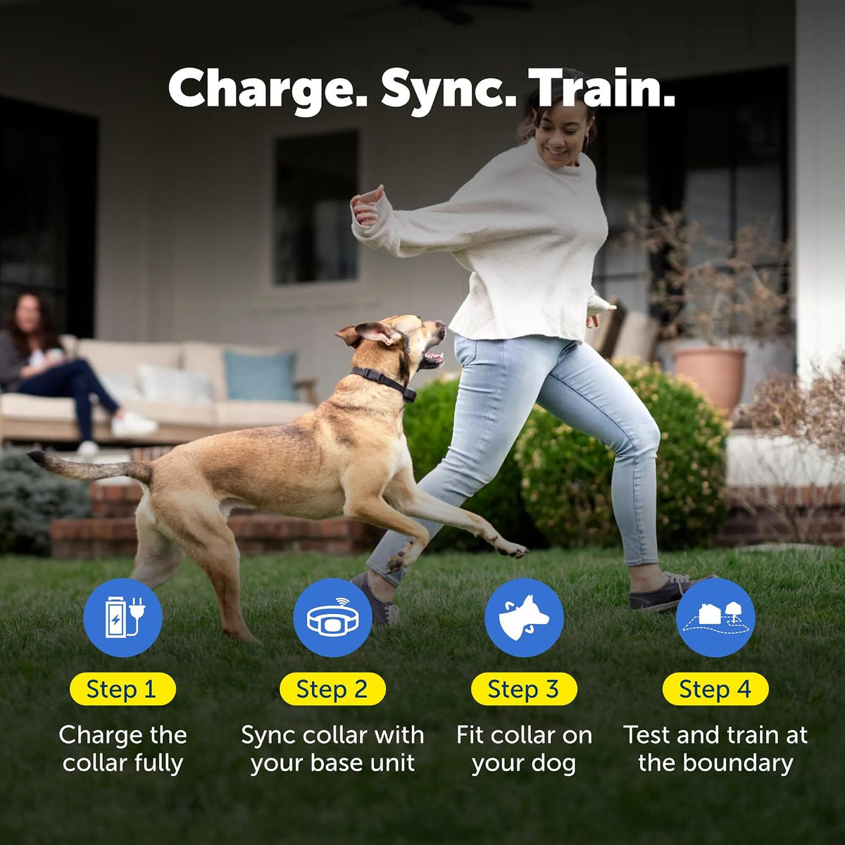 PetSafe Stay & Play Wireless Fence Rechargeable Collar