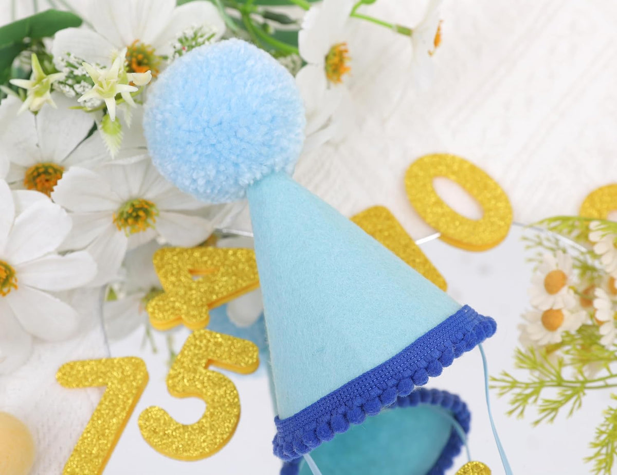 Pet Birthday Hat with Interchangeable Numbers 1-10 | Adjustable Pet Party Cone Hat for Dogs & Cats | Puppy Birthday Phot