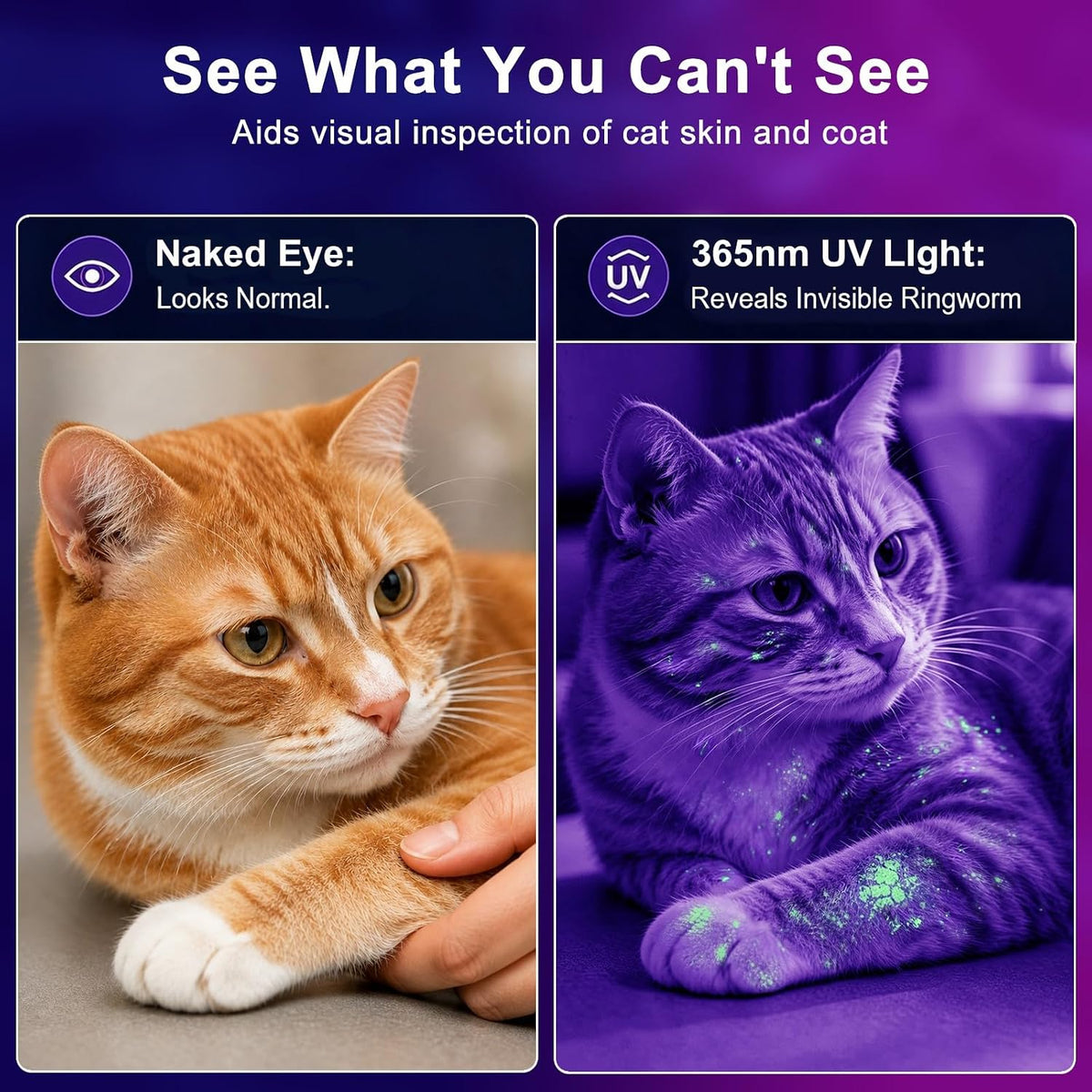 Vansky 365nm UV Flashlight for Pet: 99% Enhance Hidden Stain Detection Rate
