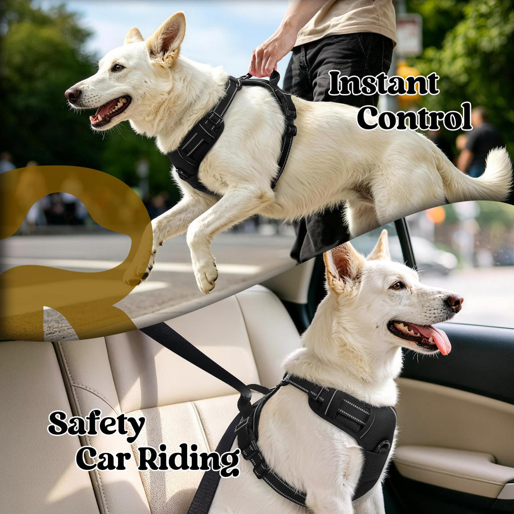 rabbitgoo Dog Harness, No Pull for Large Dogs with 2 Leash Clips, Pet Vest