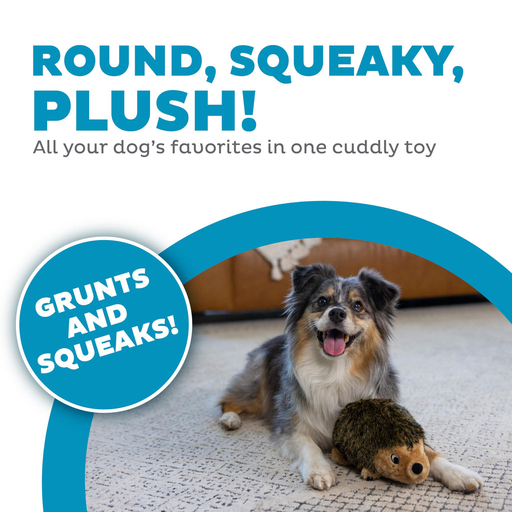 Outward Hound Hedgehogz Plush Dog Toy, Squeaks & Grunts, Medium, 9" x 6.5"