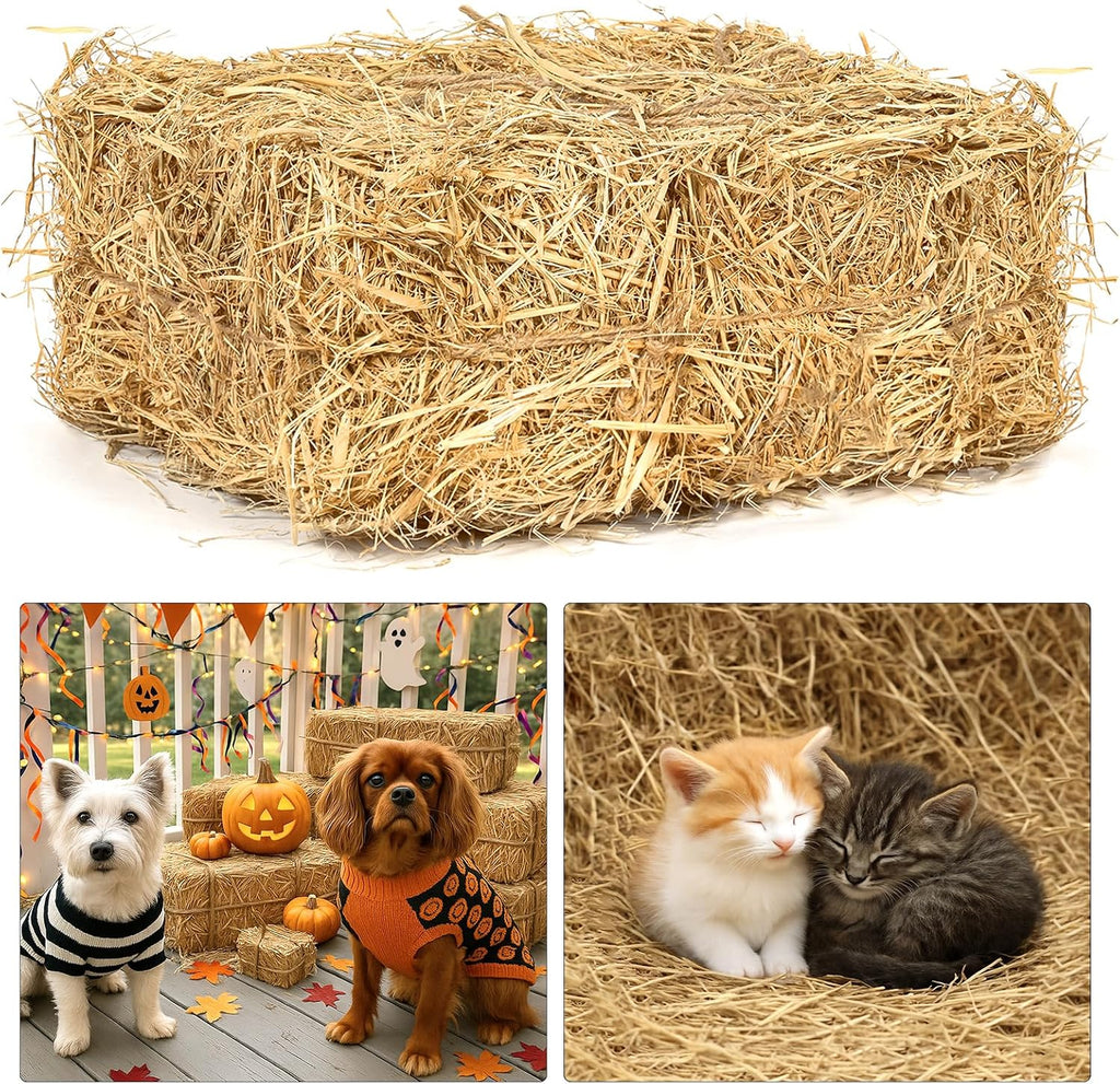 Natural Wheat Straw – 3 LB Clean Dry Straw Bale for Stray Cats & Dogs