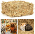 Natural Wheat Straw – 3 LB Clean Dry Straw Bale for Stray Cats & Dogs