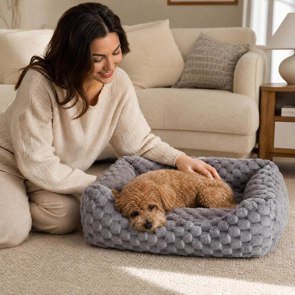 Cat Couch, Soft Pets Bed, Fluffy Cat Sofa, cama para Gatos, Gray