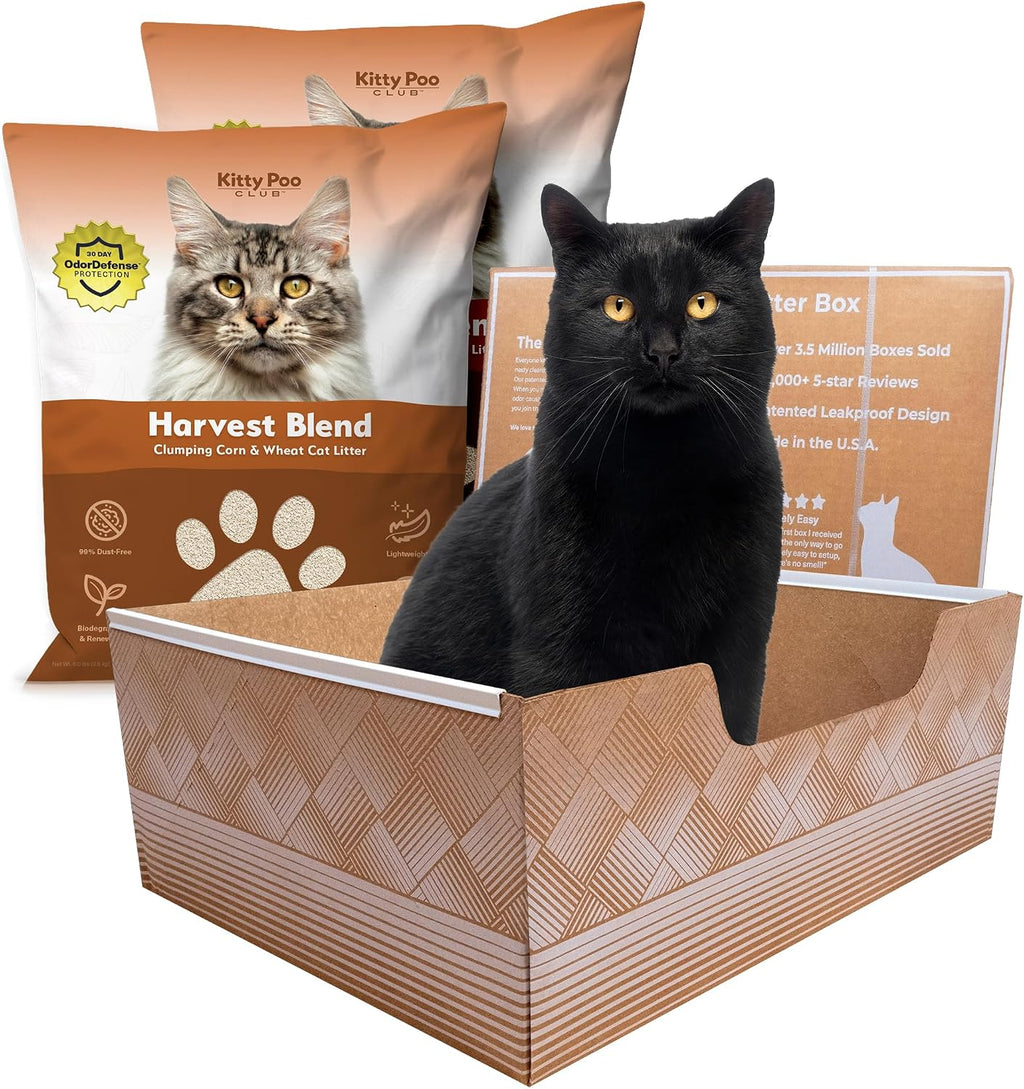 Kitty Poo Club Disposable Cat Litter Box 2-Pack, Leak-Proof 30-Days Per Box