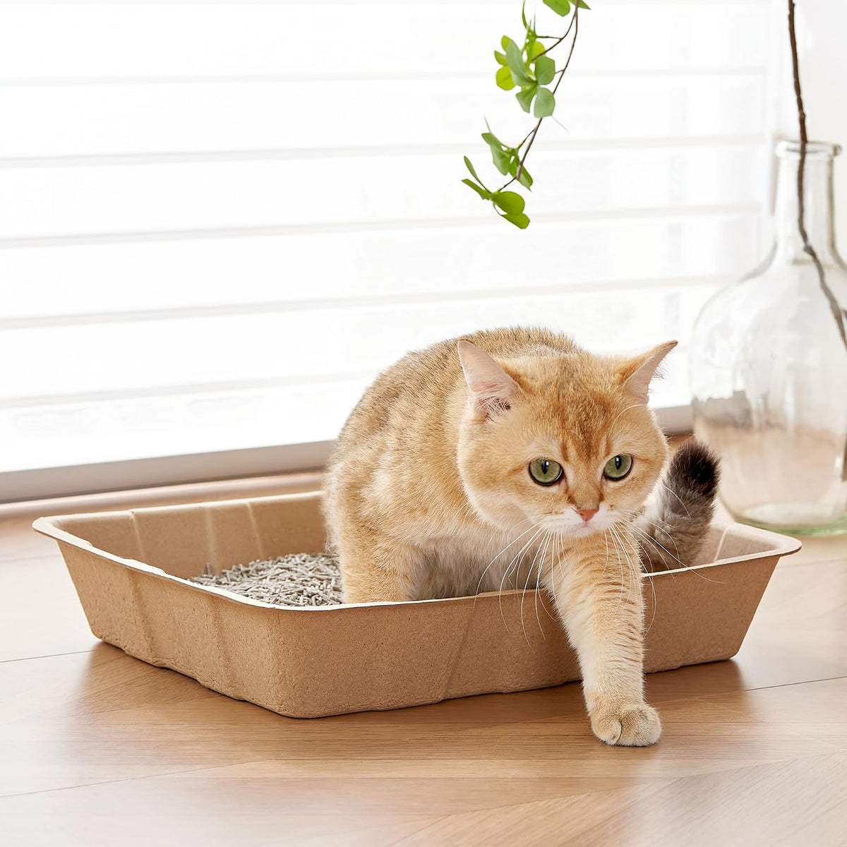 Vealind Disposable Litter Boxes for Cats Cardboard Cat Litter Trays Cat Travel Toilet Litter Pan Liners Kitty and Small 