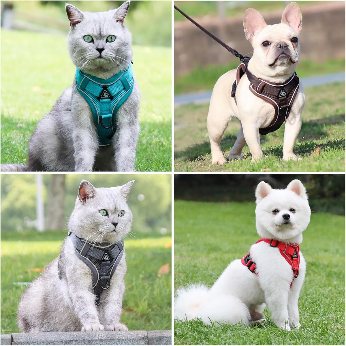 XL Cat Harness Escape Proof for Heavy Cats Adjustable for Extra Large Cats