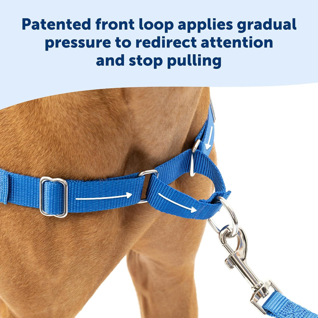 PetSafe Easy Walk Harness, No Pull Dog Harness, Raspberry, Medium/Large