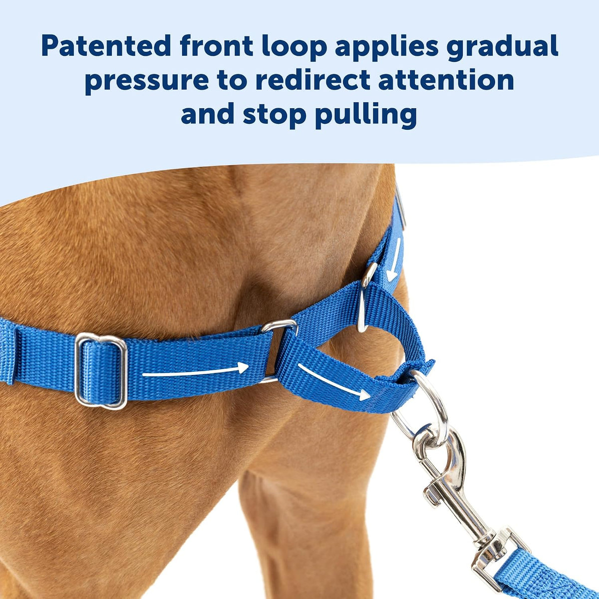 PetSafe Easy Walk Harness, No Pull Dog Harness, Raspberry, Medium/Large